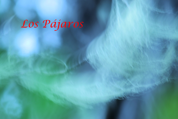 Pajaros