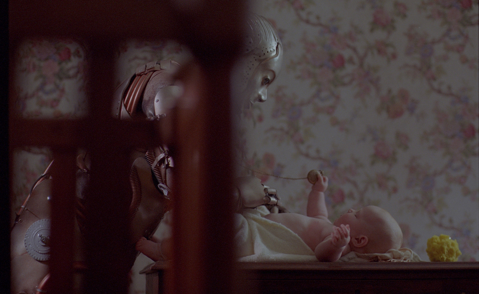 Girl With the Mechanical Maiden