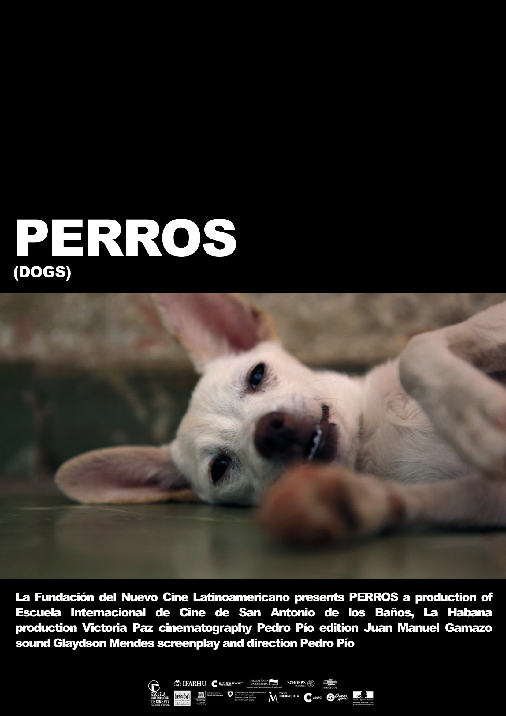 Perros