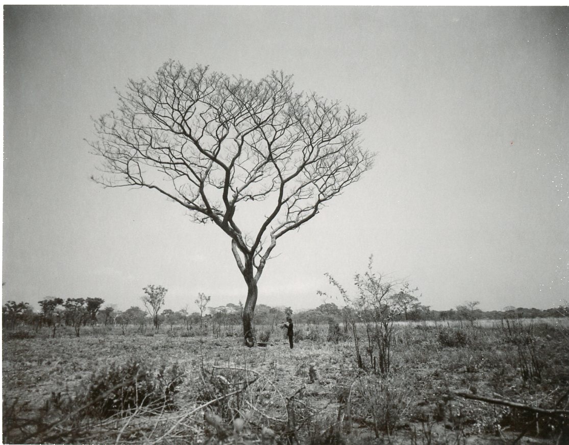 Son of a Railway Man