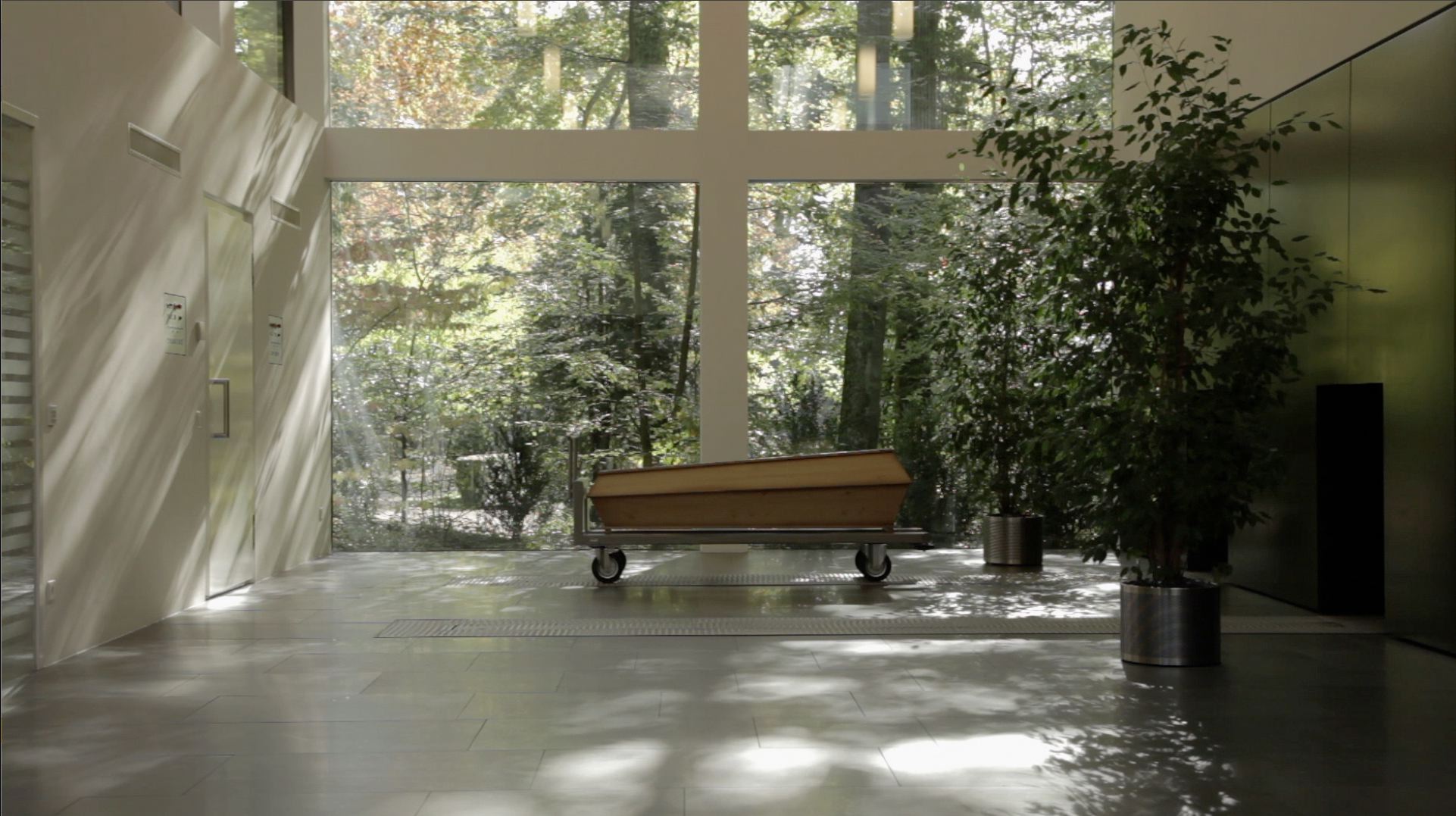 Which Direction to Go ?