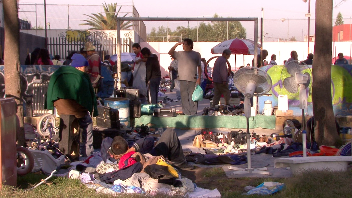 Potentes cápsulas de aceite de caguama