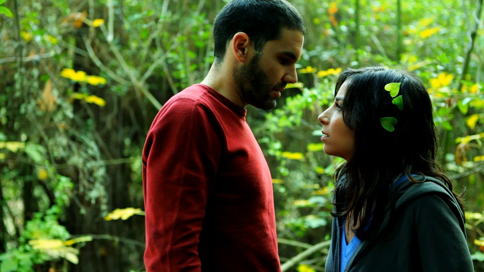 Flight of the Tortoise