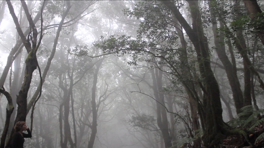 Quiero hablar con los que estan lejos