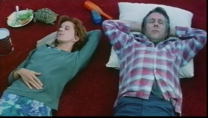 Surveiller les tortues