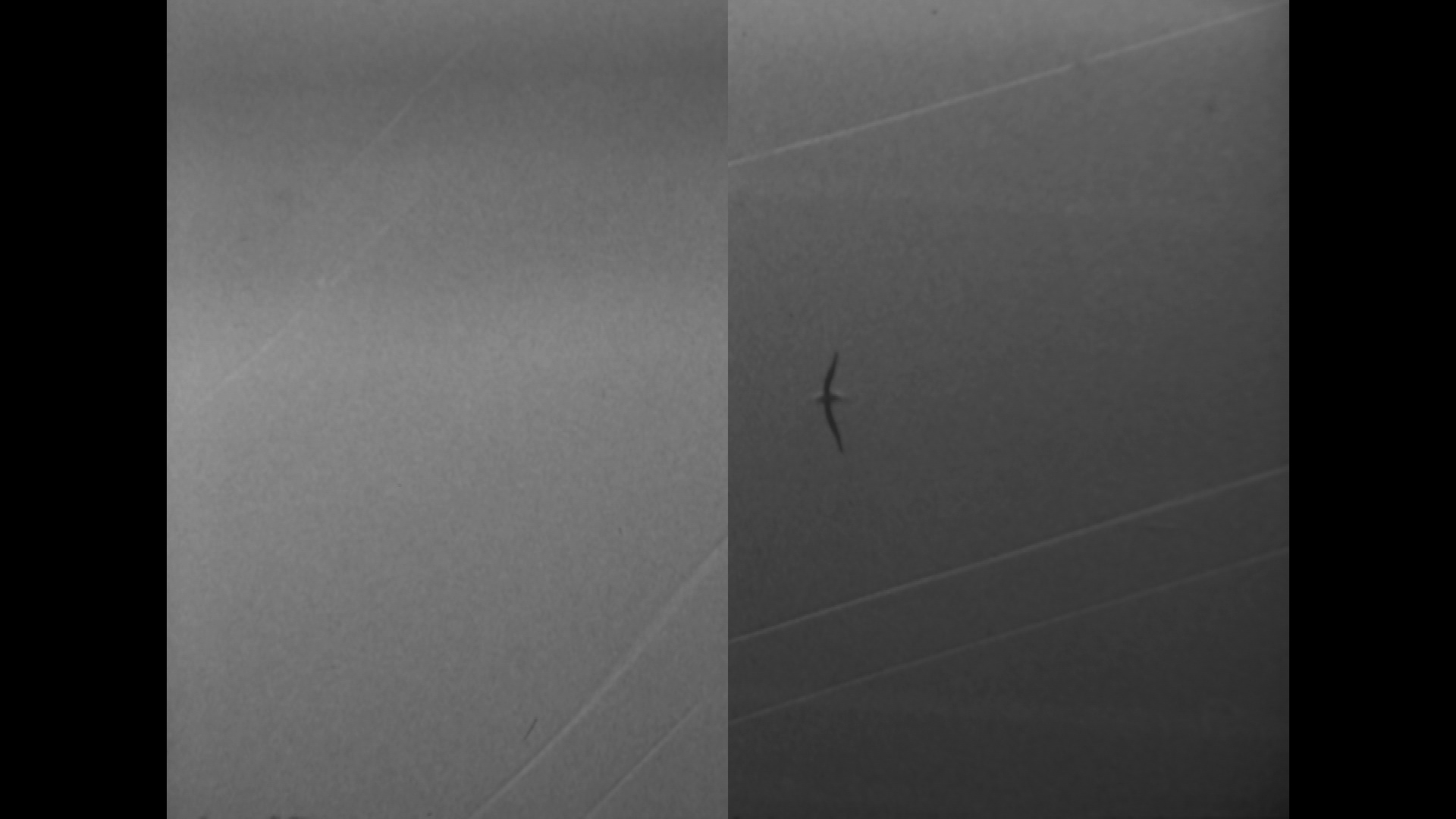 Surface Line Movement