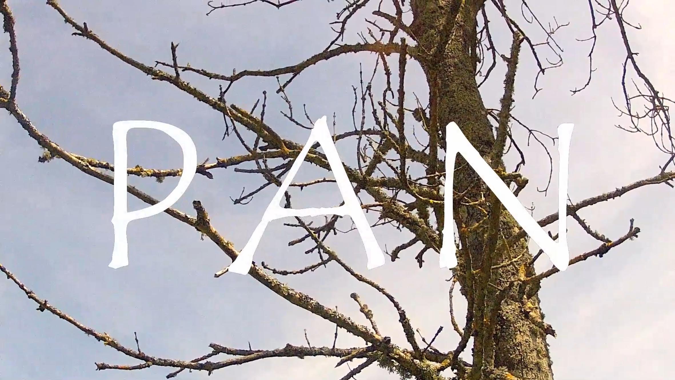 Pan