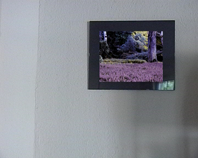 Darling, I Am Sorry !