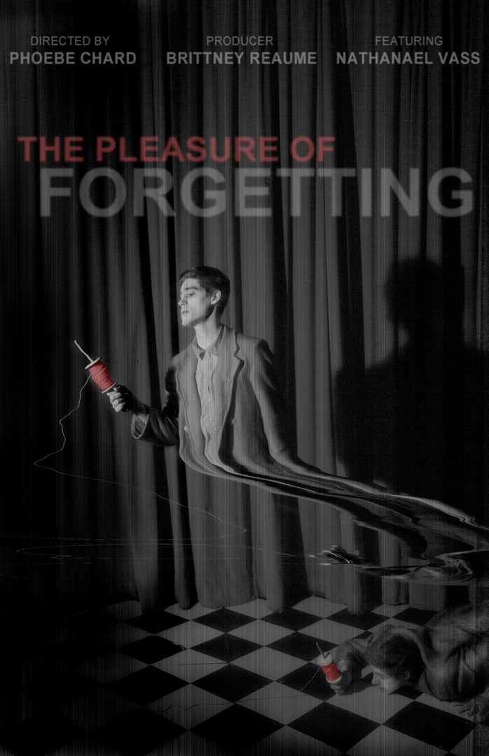 Pleasure of Forgetting