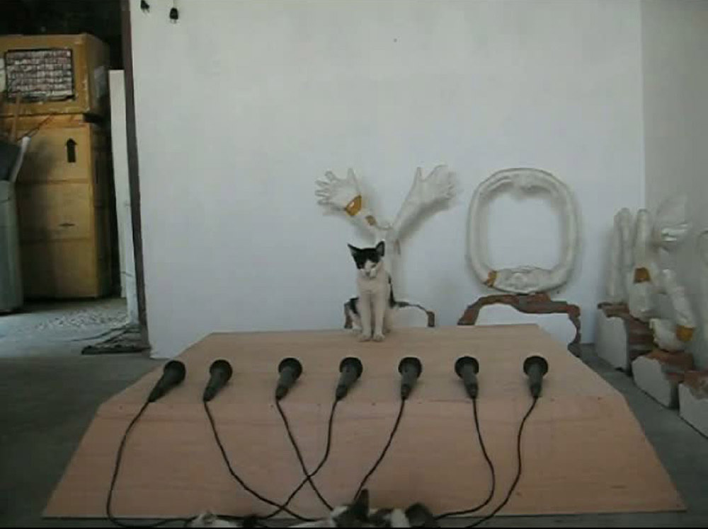 This is my stage where is yours
