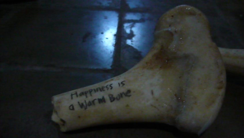 Happiness is a Warm Bone