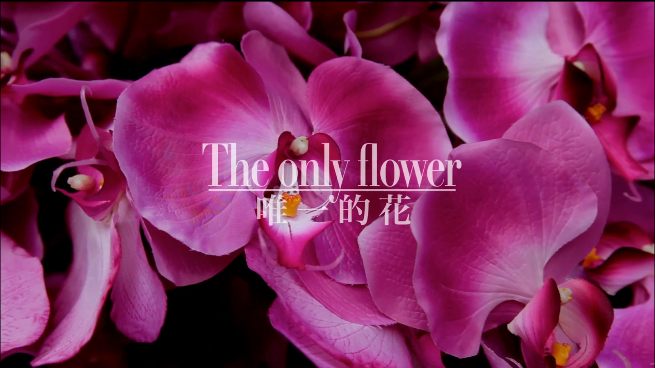 Only Flower