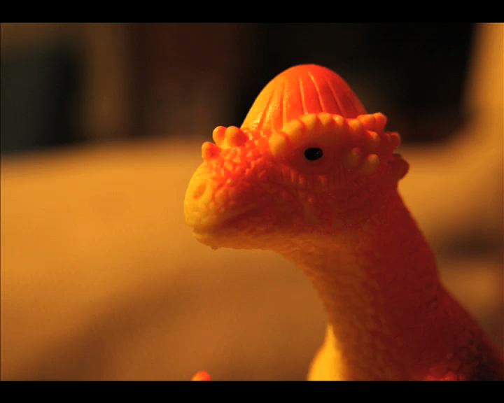 Dinosaures pleurent aussi