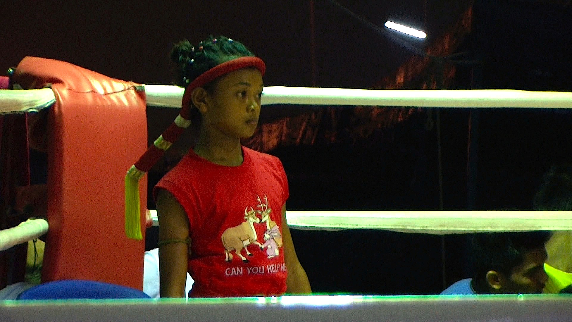 Little Thai Fighters