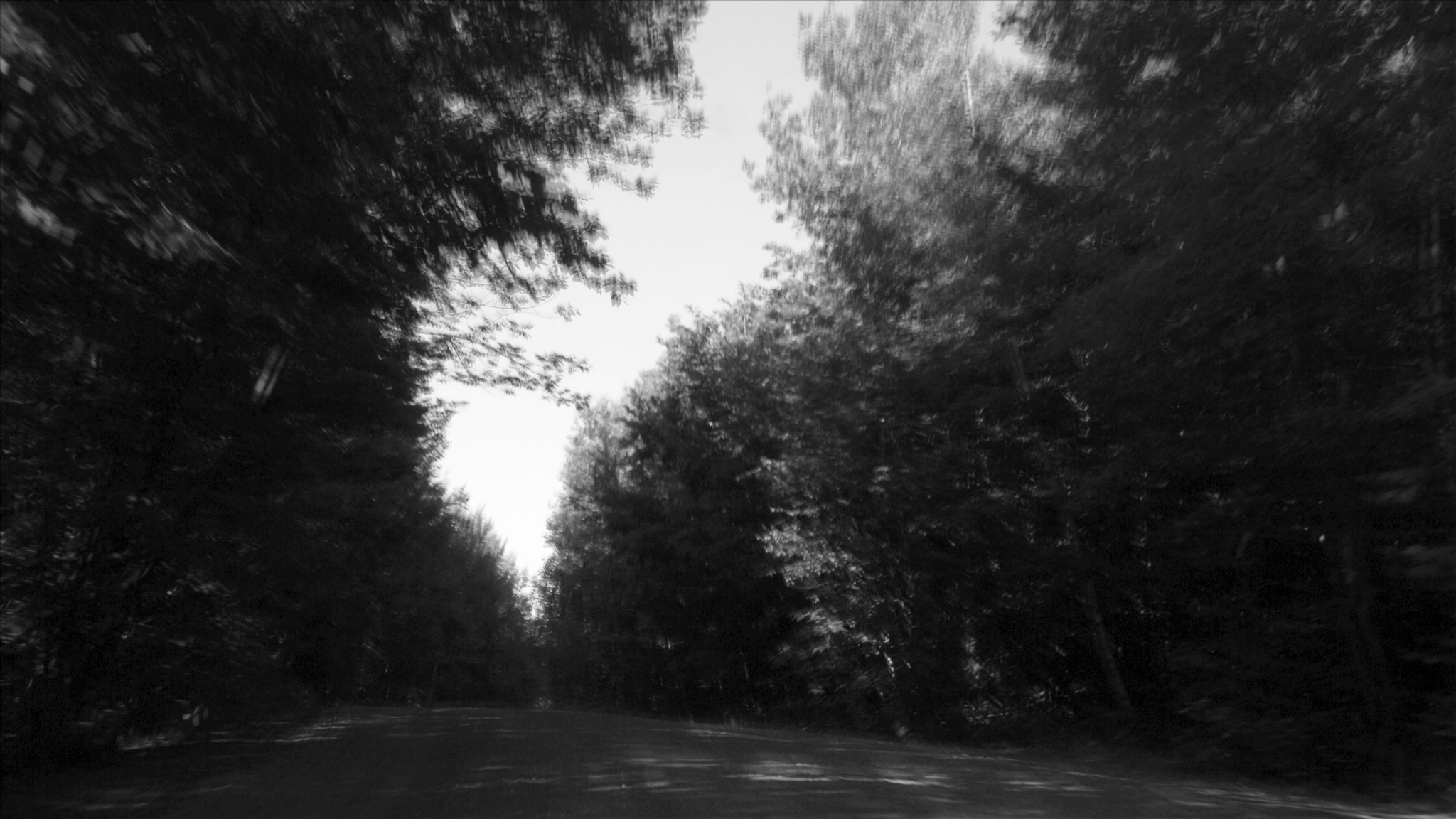 Dynamique de la pénombre