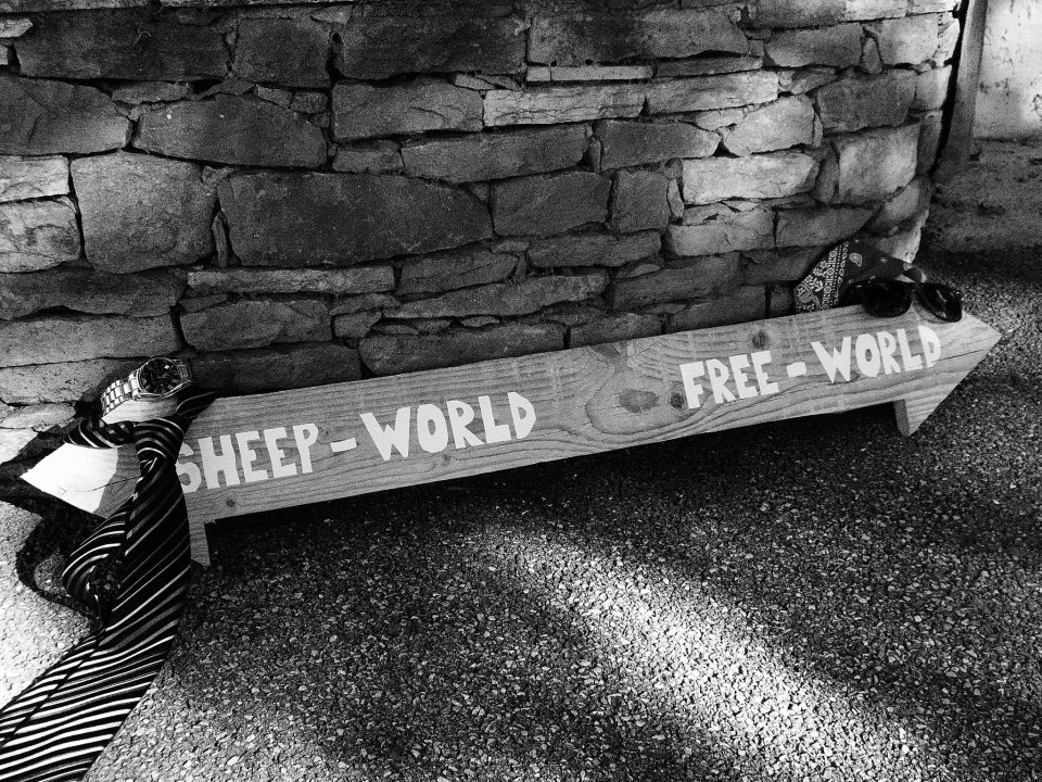 Sheep Effect