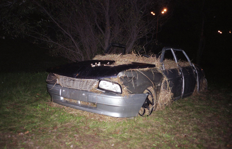 Bezumnye podrazhateli