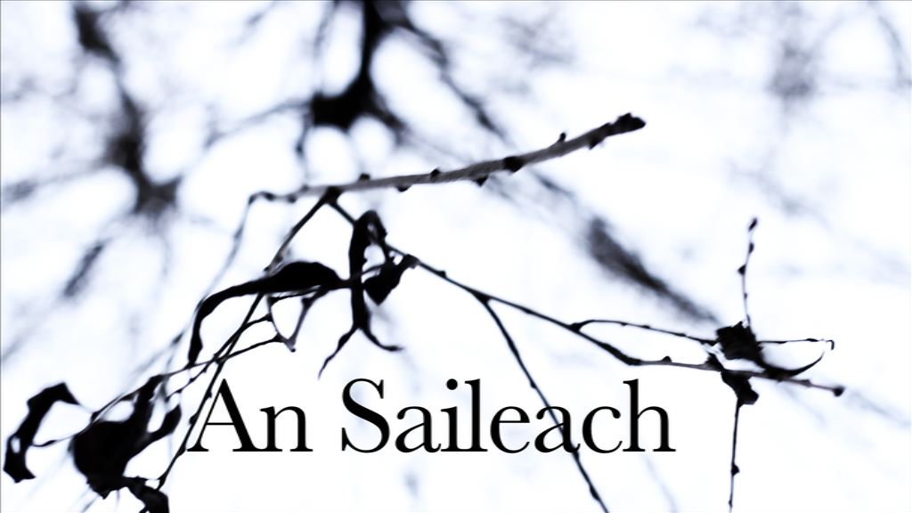 An Saileach