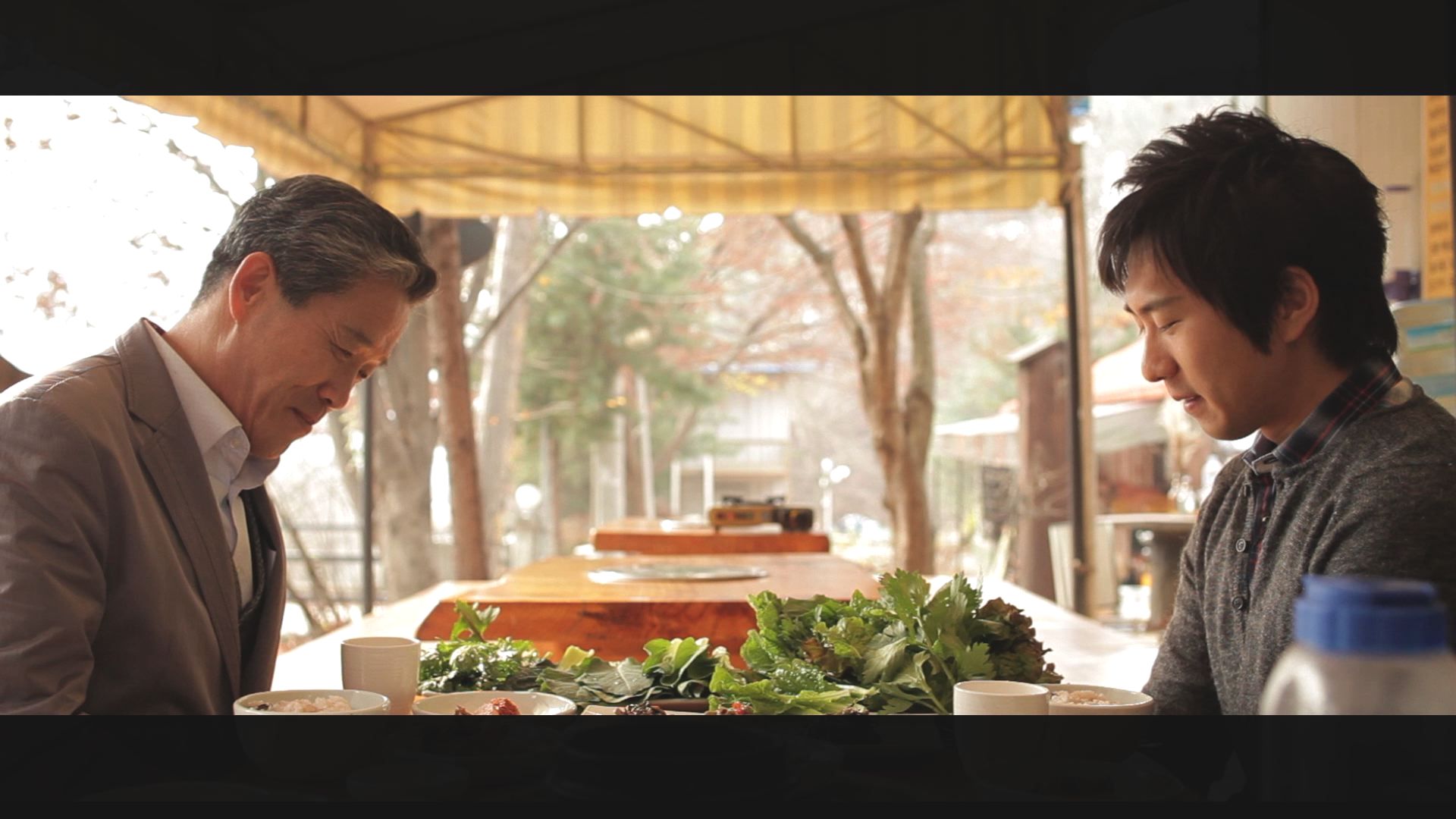 Nonviolent Resistance