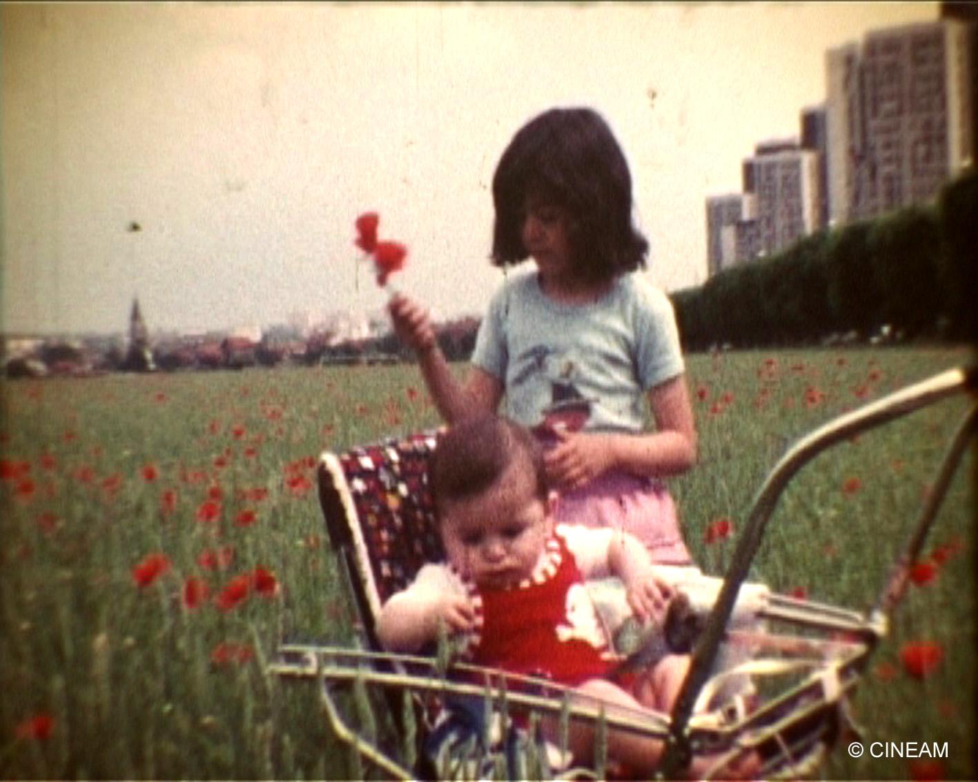 Ils ont filmé les grands ensembles