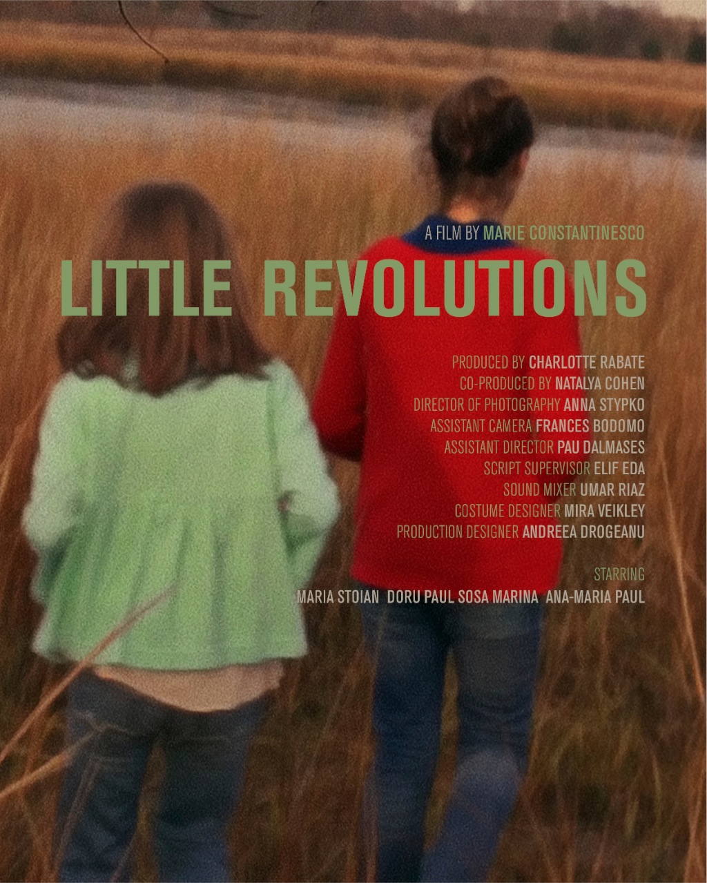 Little Revolutions