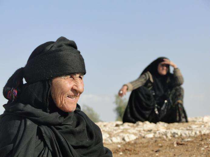 A Look Towards The Sky