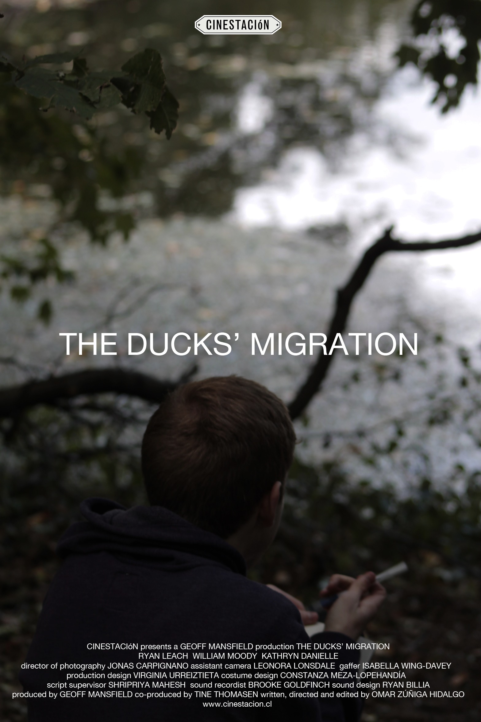 Ducks' Migration