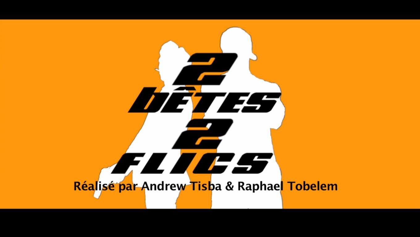 2 bêtes 2 flics