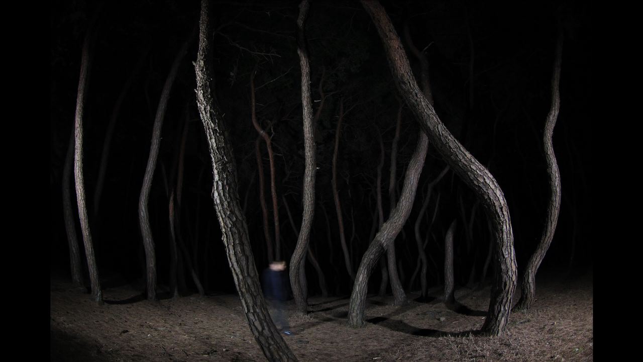 Dancing In The 8 Homes