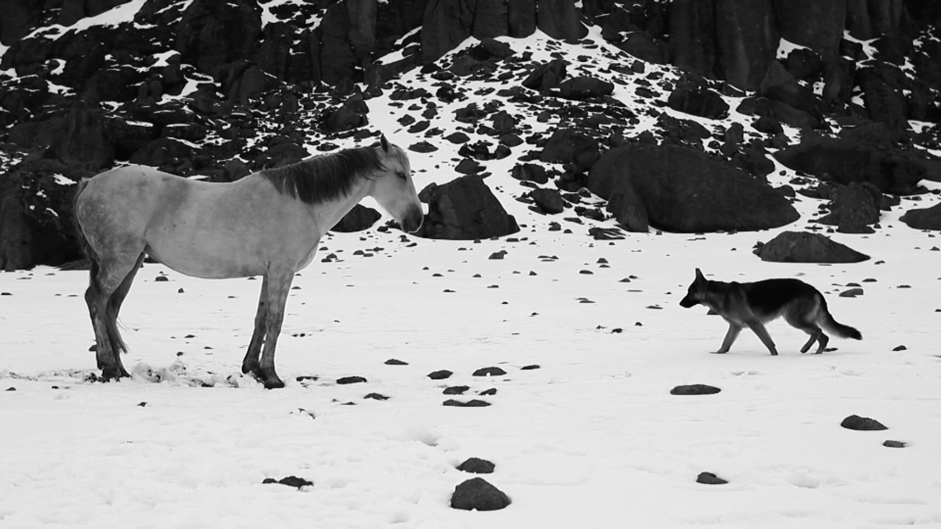 Pequeño bloque de cemento con pelo alborotado conteniendo el mar