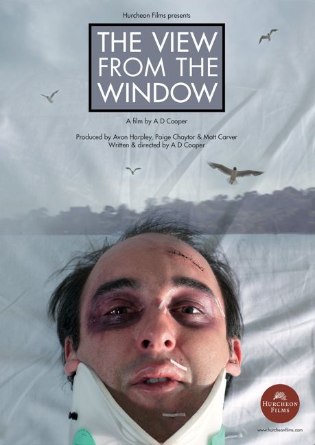 View from the Window