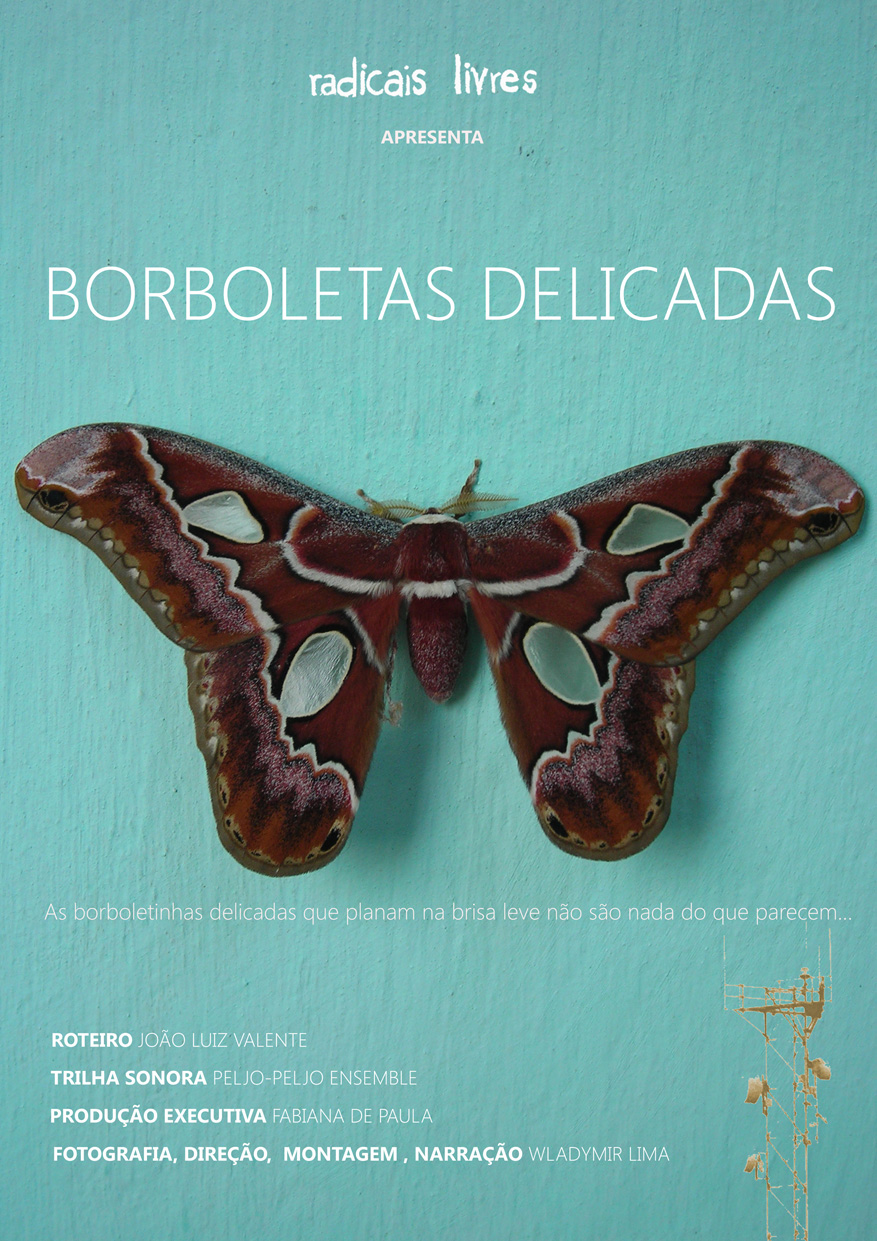 Borboletas Delicadas