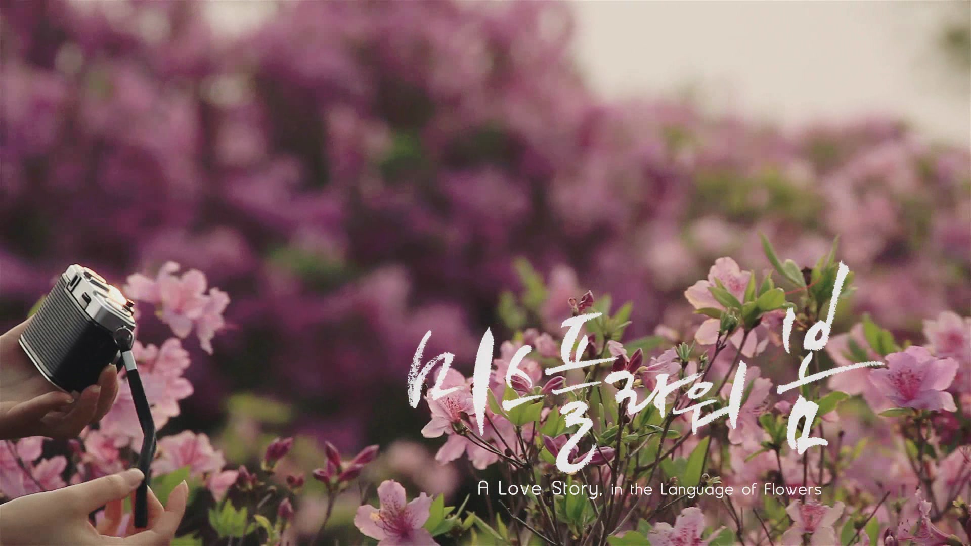 Miss flower "spring"