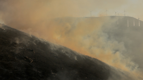 Cinza, ensaio sobre o fogo