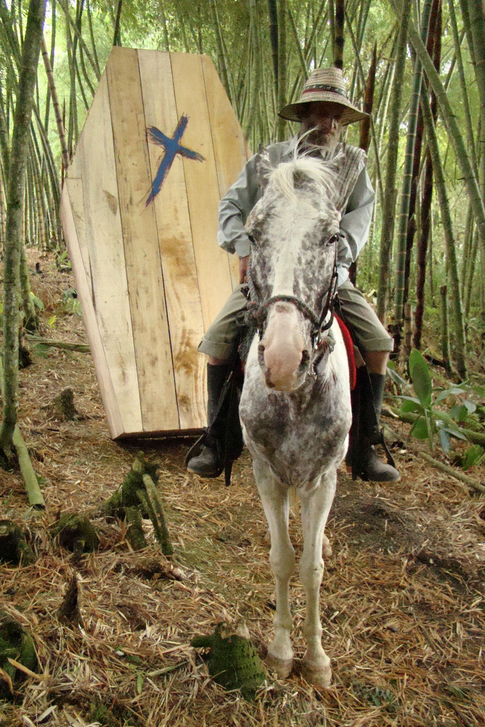 Arre caballo, la voluntad de la sangre