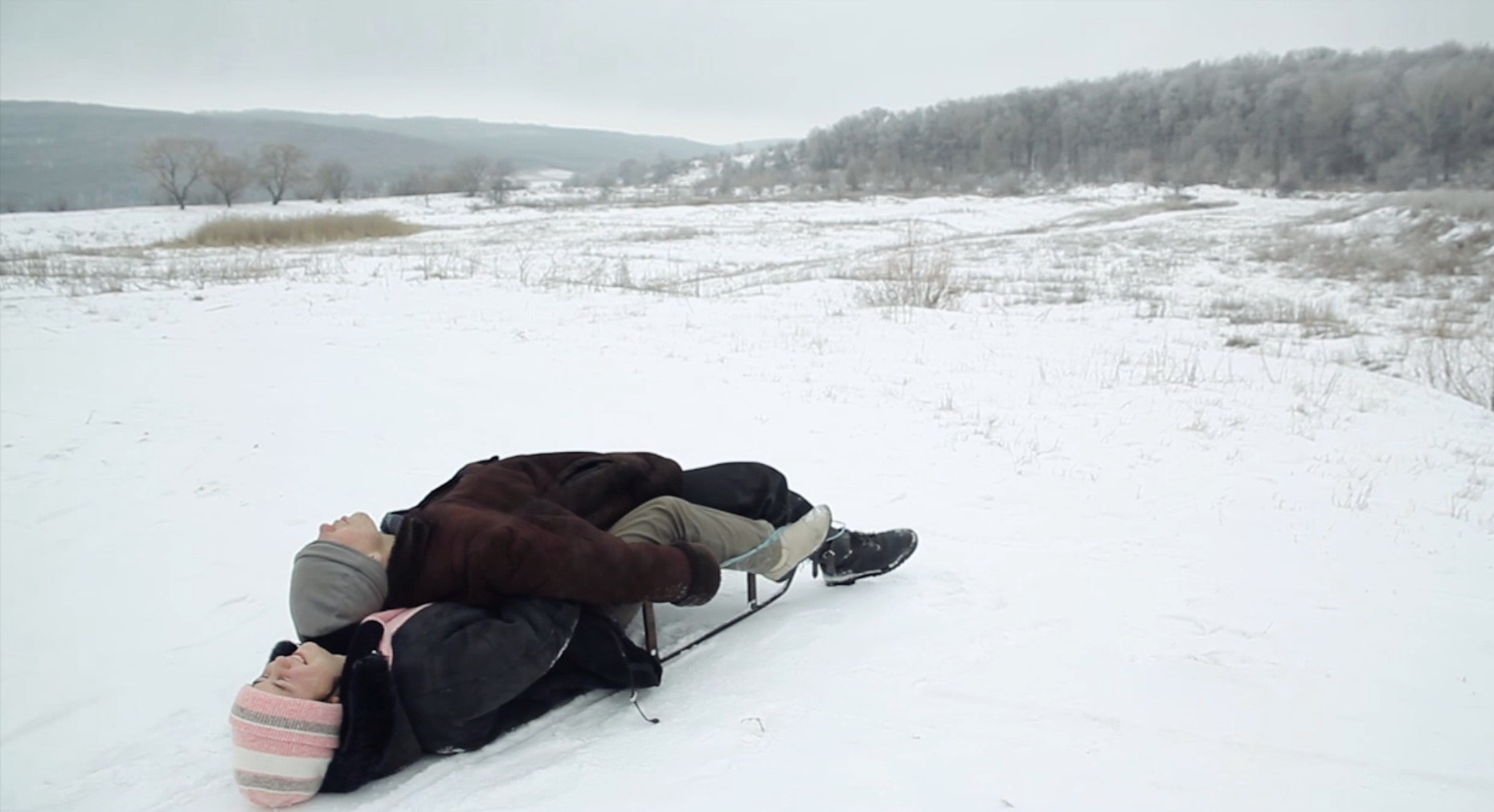 At the edge of the forest