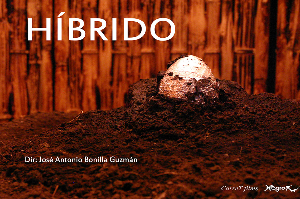 Híbrido