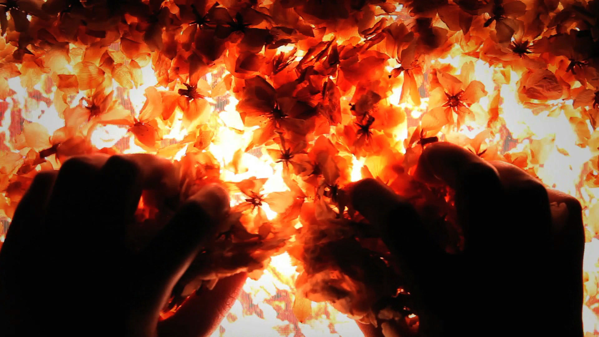 Surface of the Earth