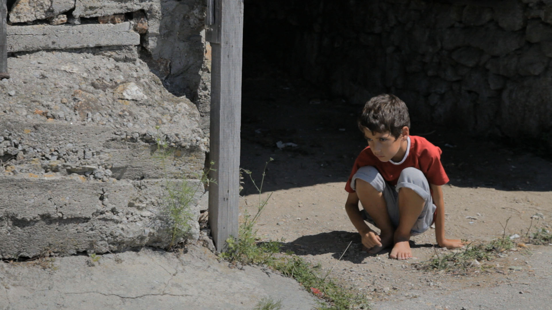 José combustão dos porcos