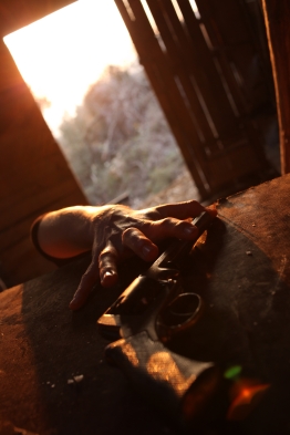 Curse of a Rotten Thing