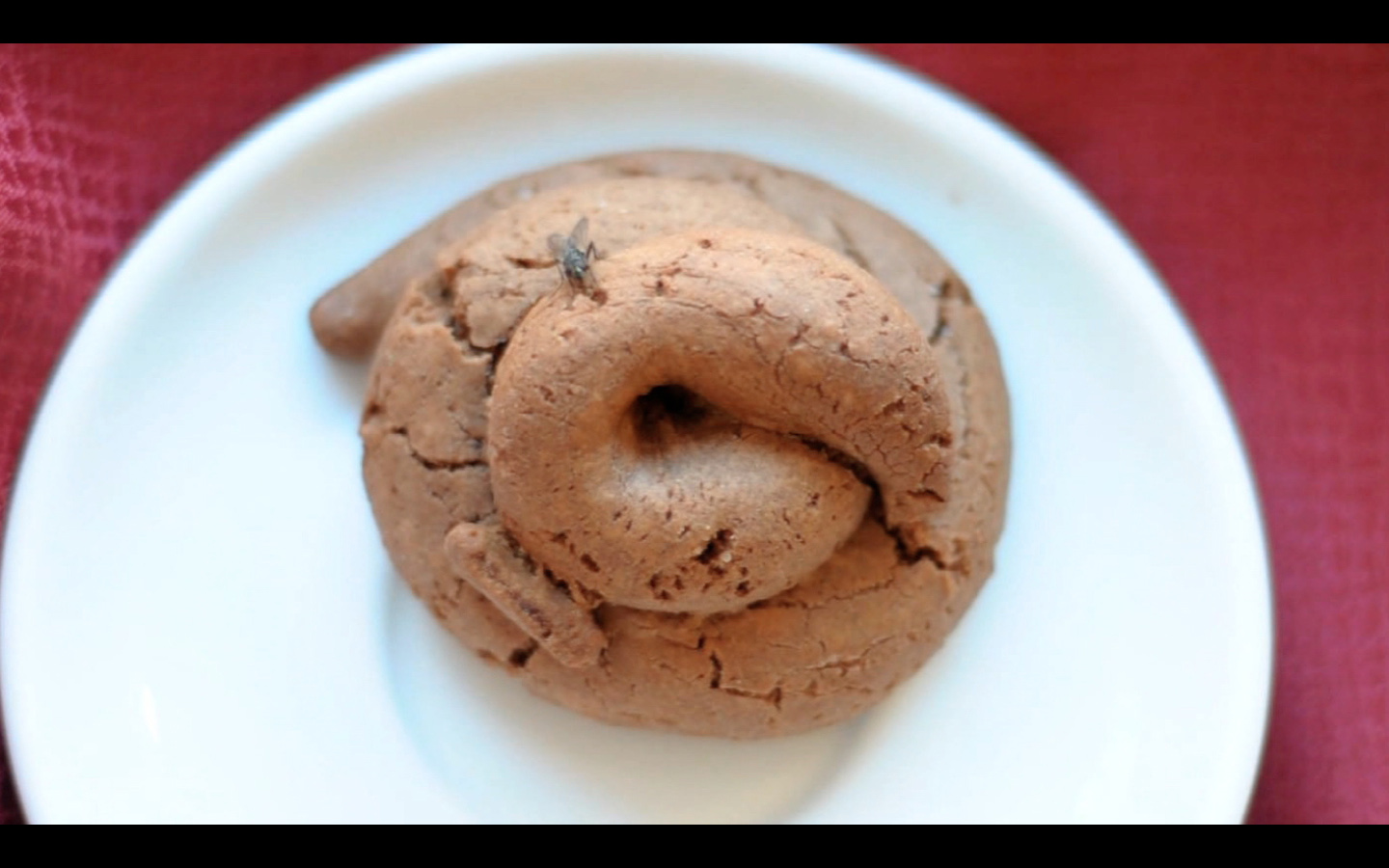 Anarchiste Cookie Shop