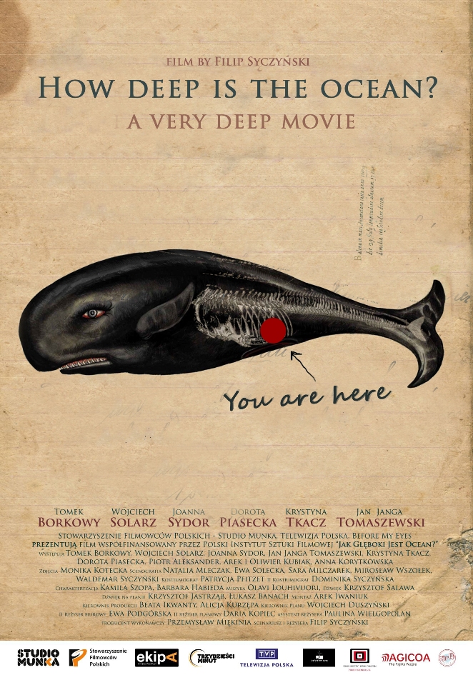 Jak Gleboki Jest Ocean