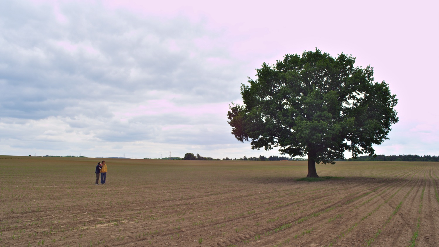 Ondrej Vetchy je Premysl Otakar II.