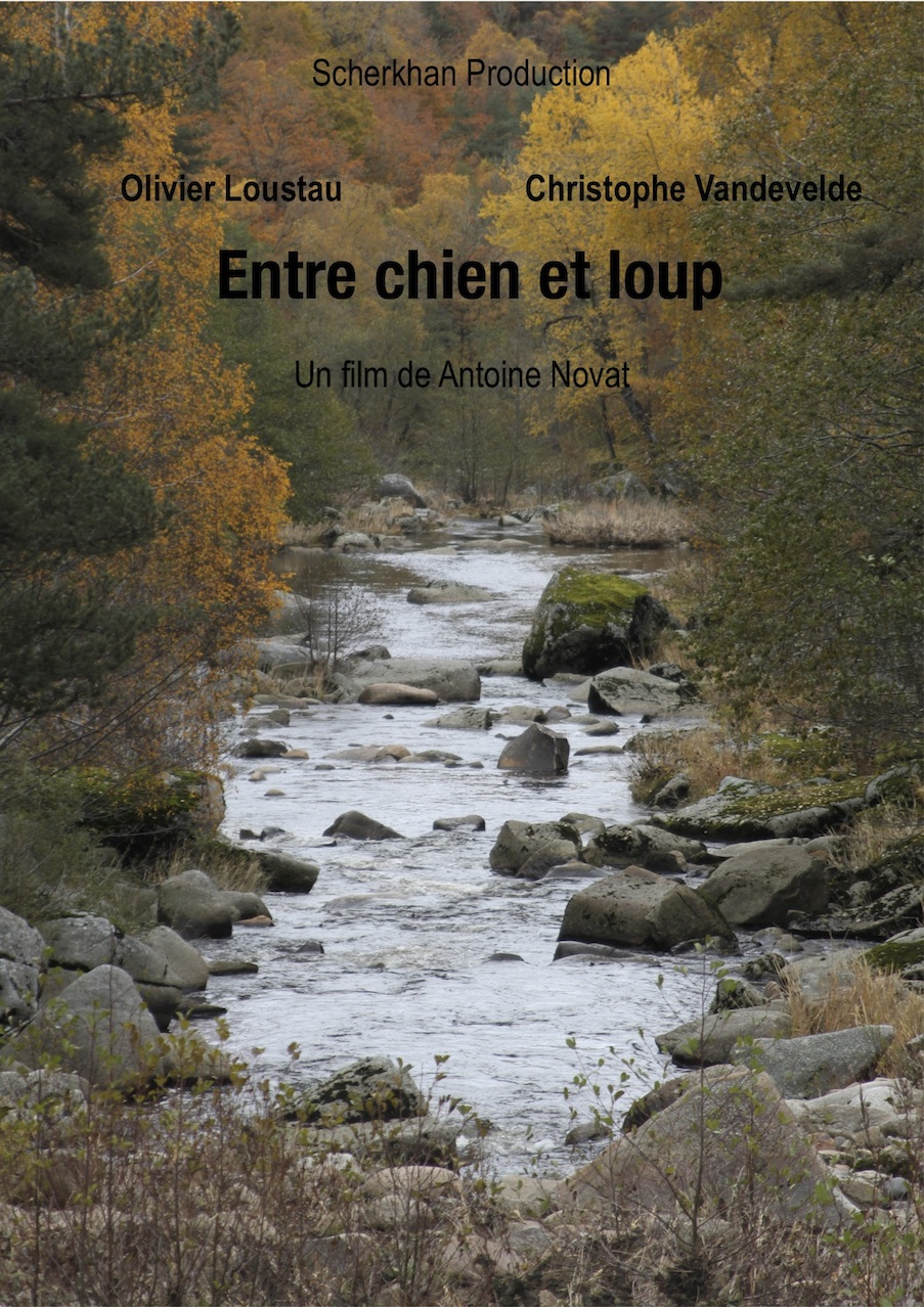 Entre chien et loup