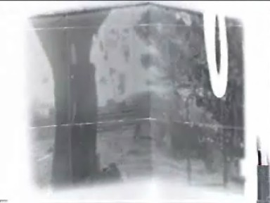 Essai pour quatre dromadaires dans une salle de gymnastique