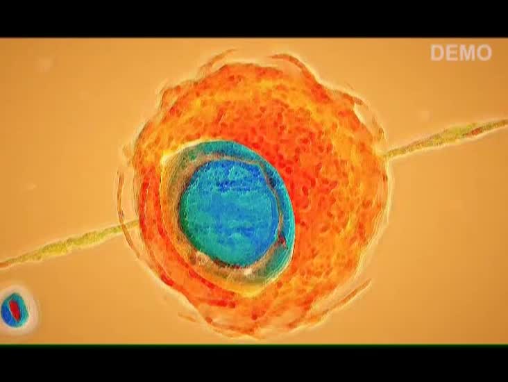 15 Bilhões de Fatias de (-t)+Deus