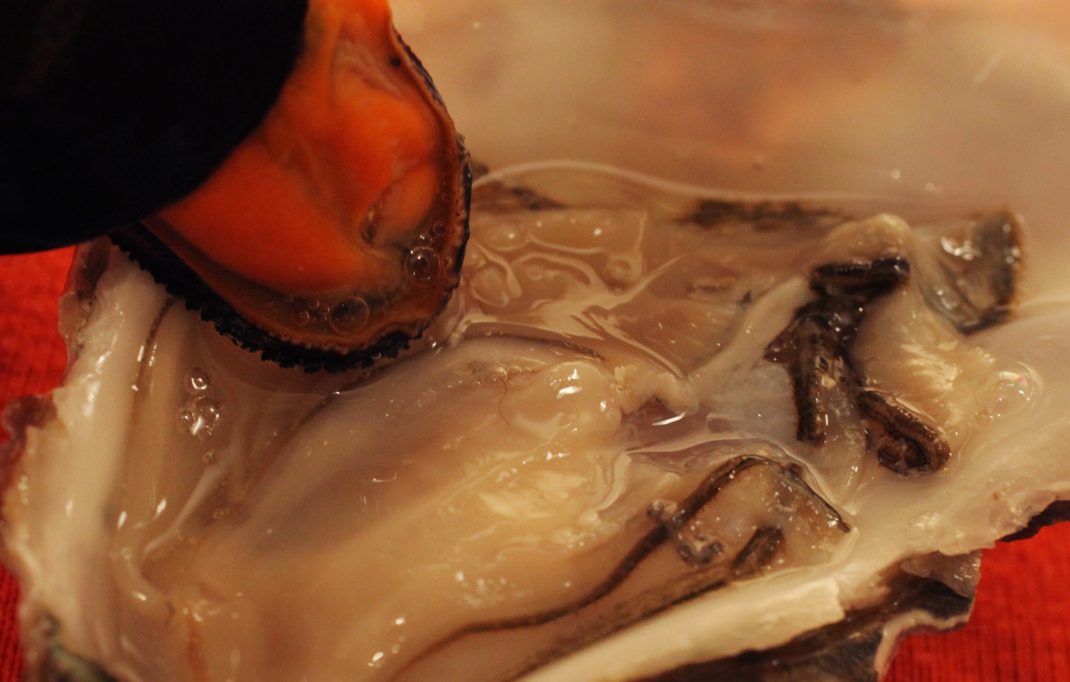 Jennifer and Tiffany