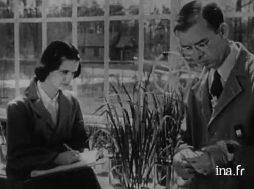 Atome au service de la paix : l'agriculture, l'industrie et l'énergie