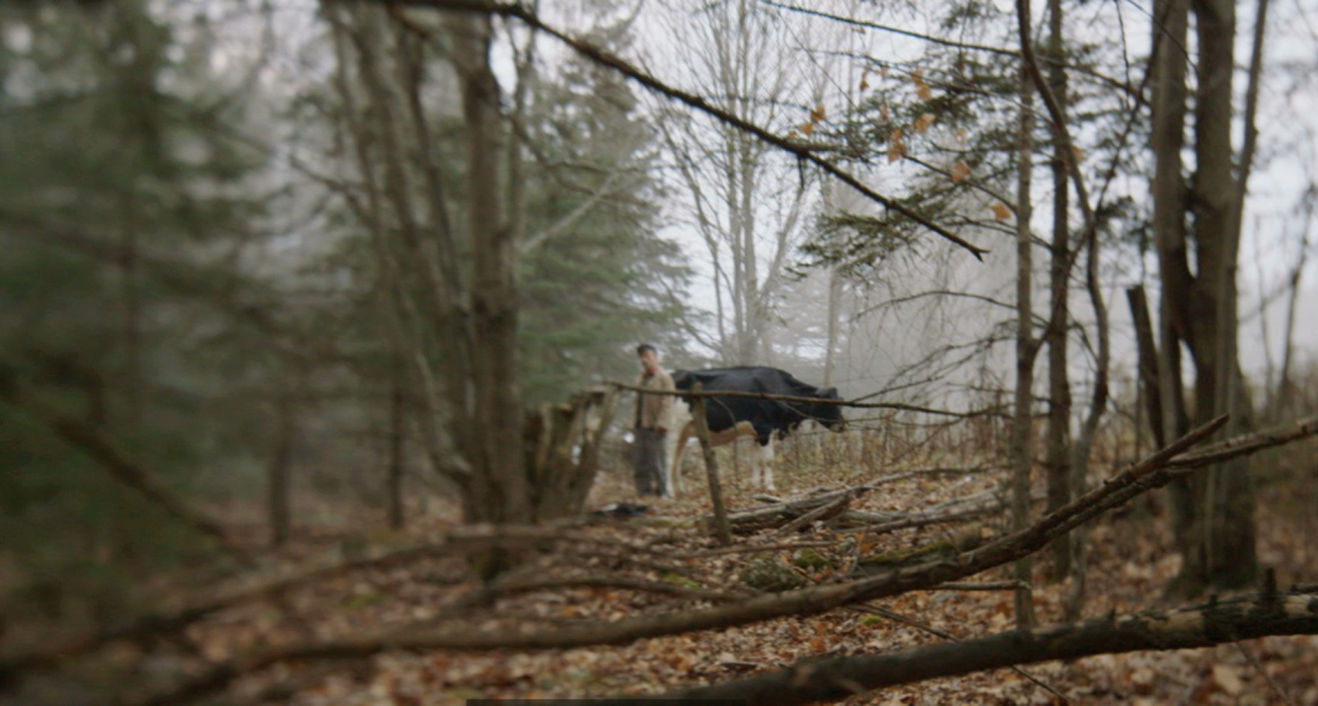 Fou, Rien pis Personne