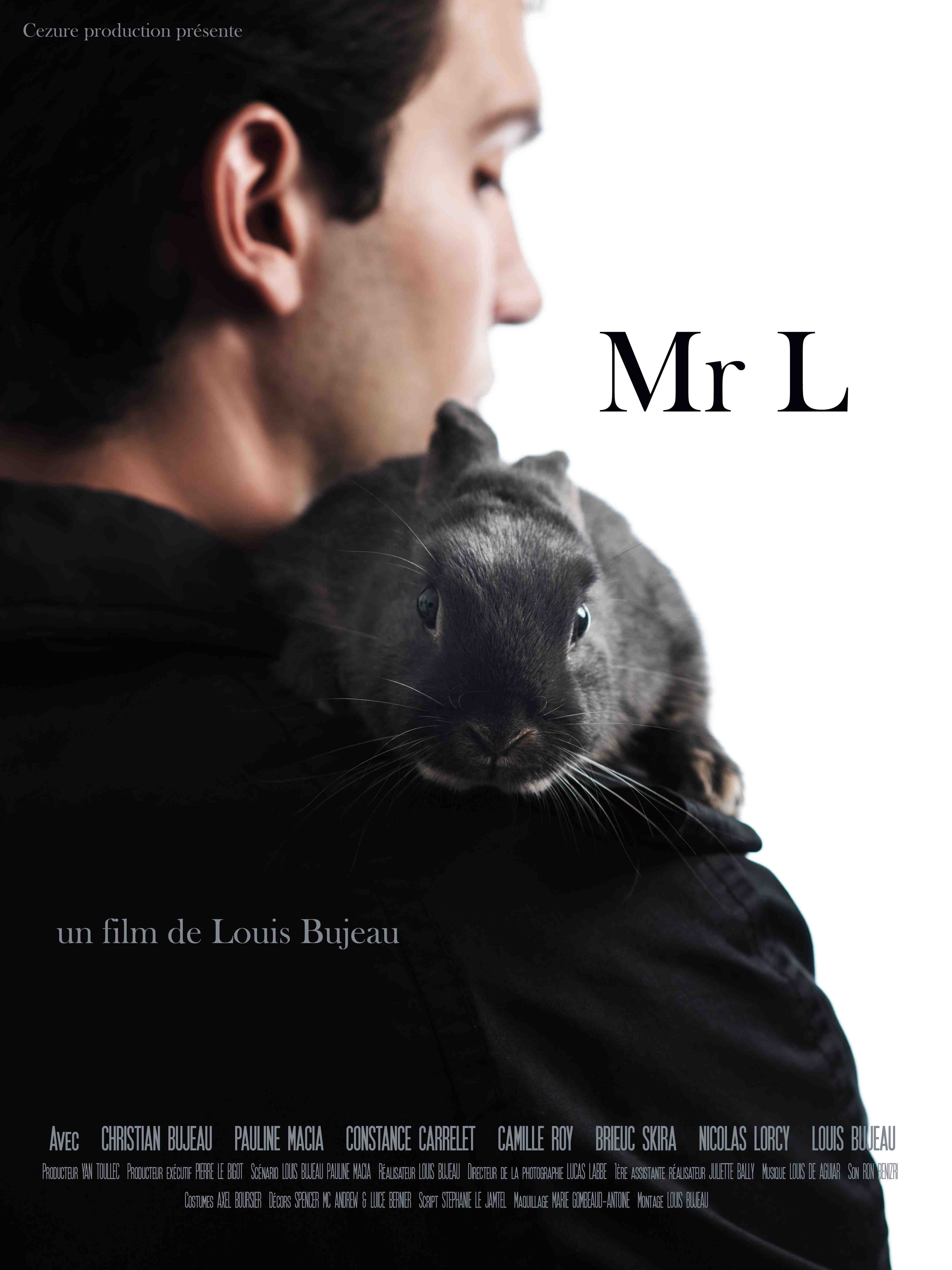 Mr L